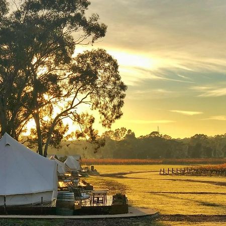 Balgownie Estate Bendigo Bed & Breakfast Bagian luar foto