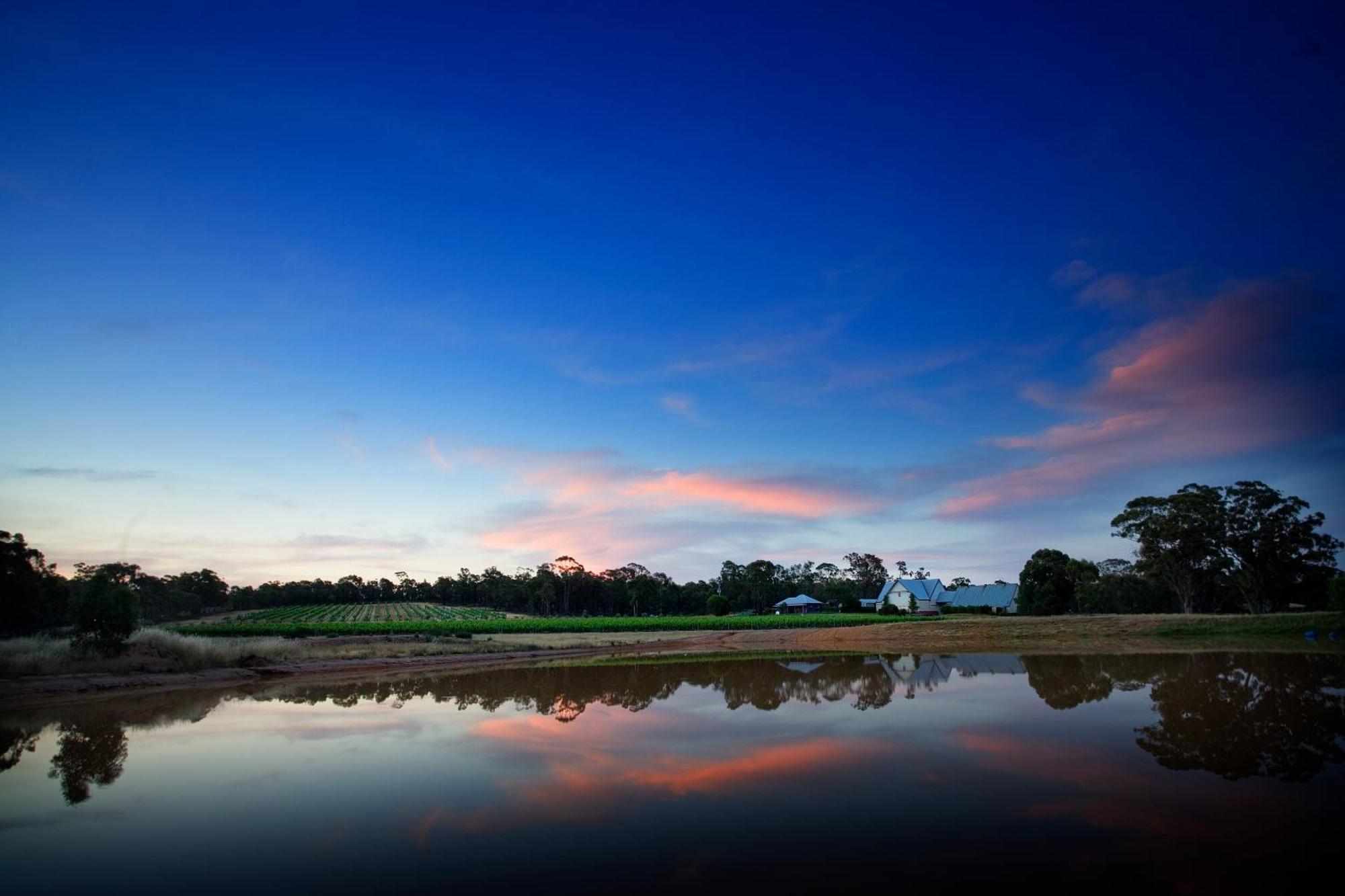 Balgownie Estate Bendigo Bed & Breakfast Bagian luar foto
