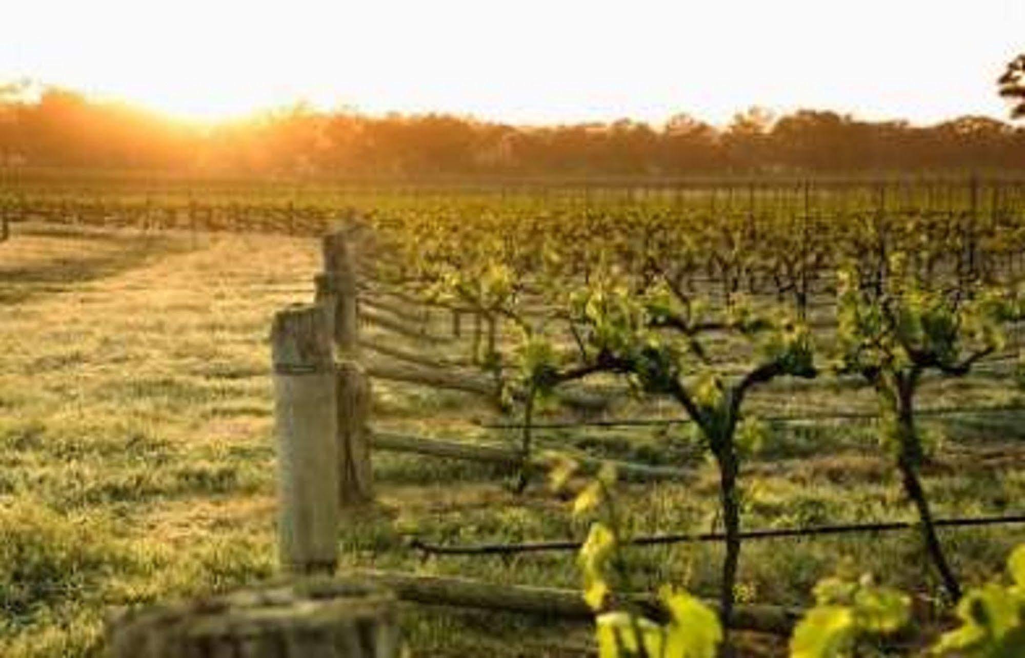 Balgownie Estate Bendigo Bed & Breakfast Bagian luar foto
